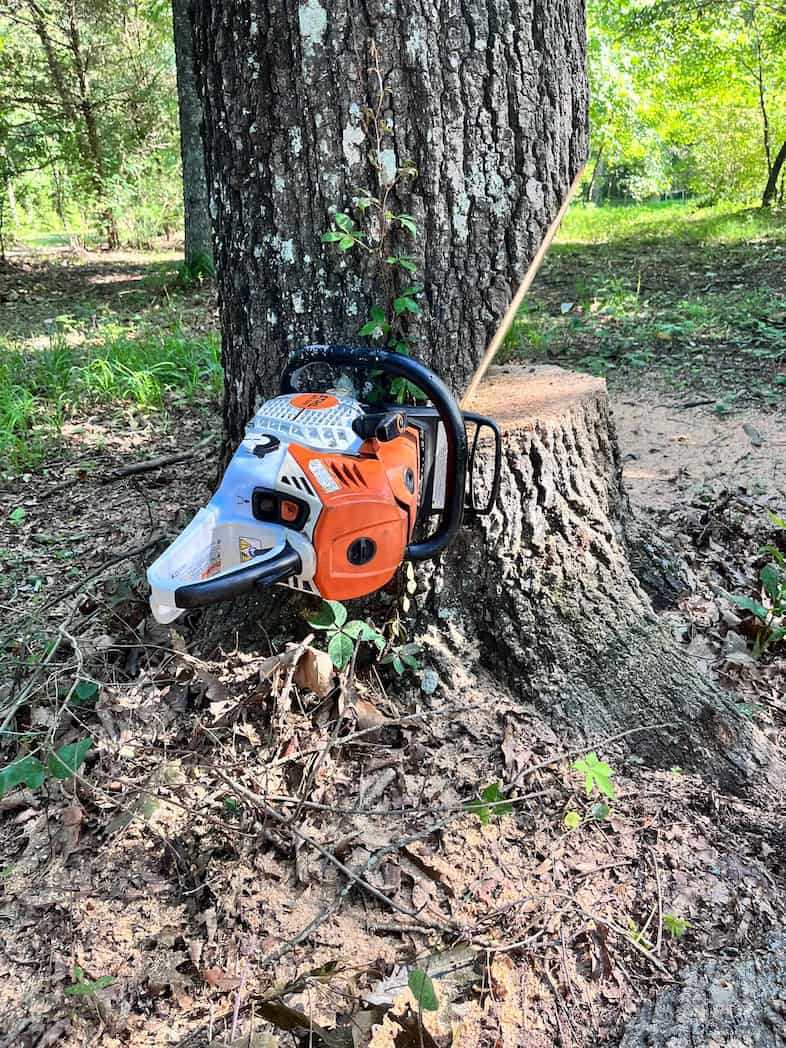 Stump Grinding