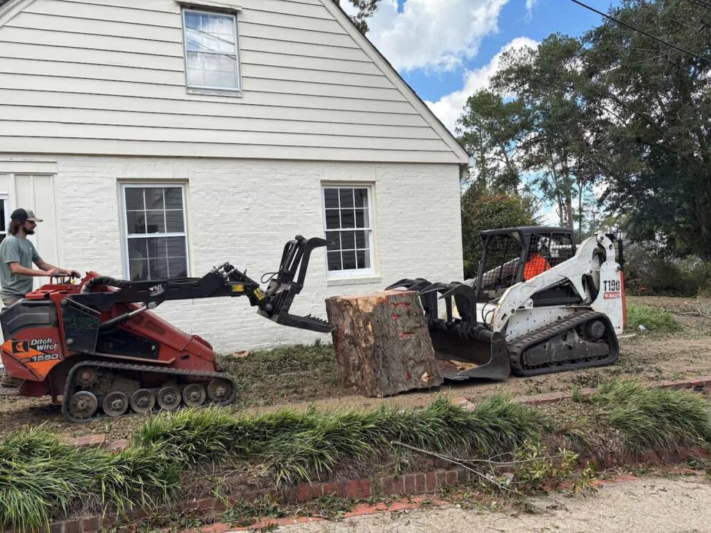 Stump Grinding