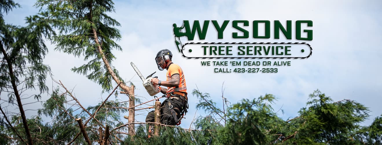 Wysong Tree Service