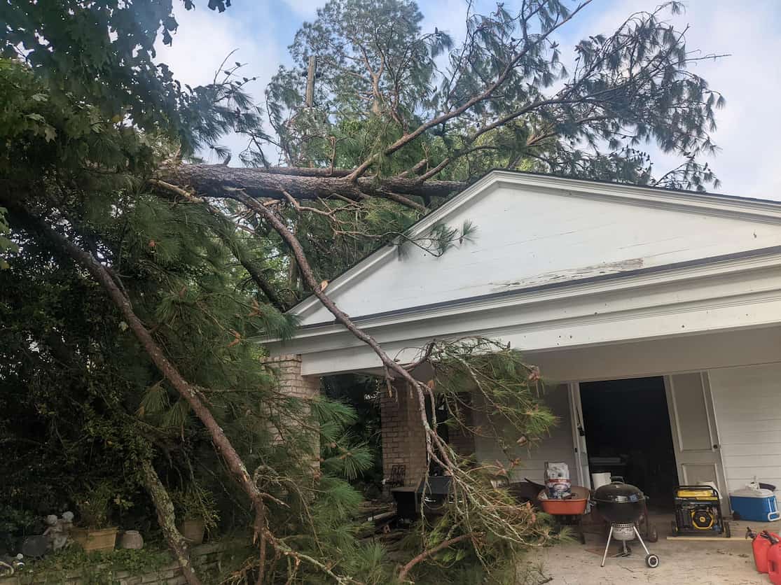 Tree Services in Cleveland