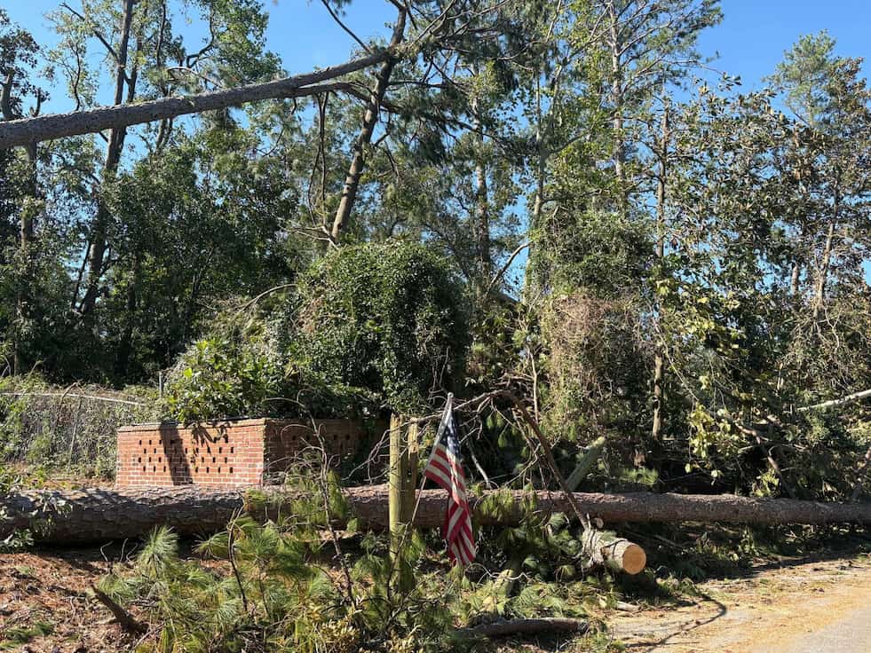 Tree Services in Red Bank, TN