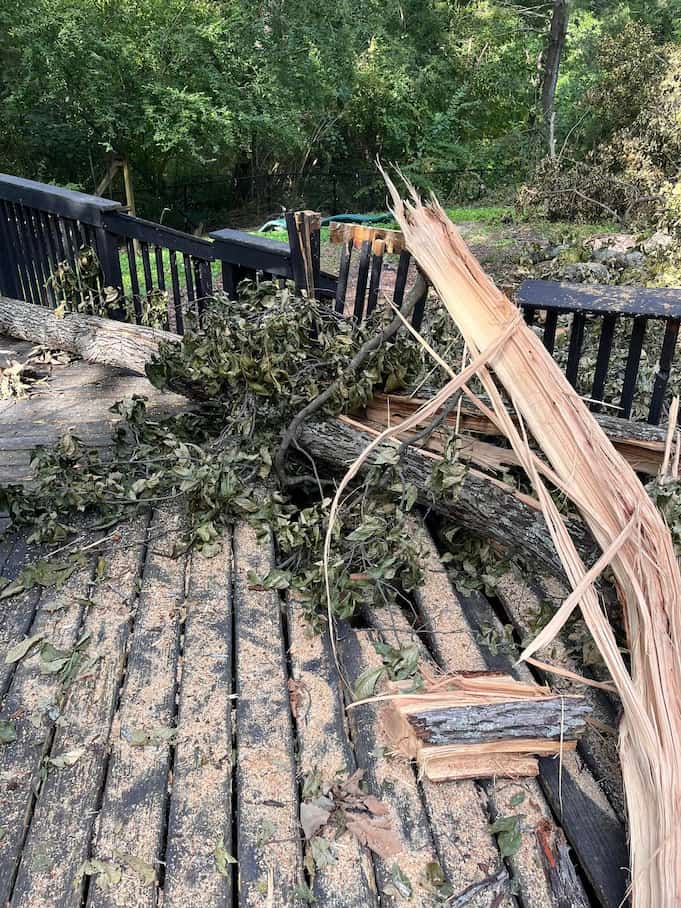 Tree Services in Hixson
